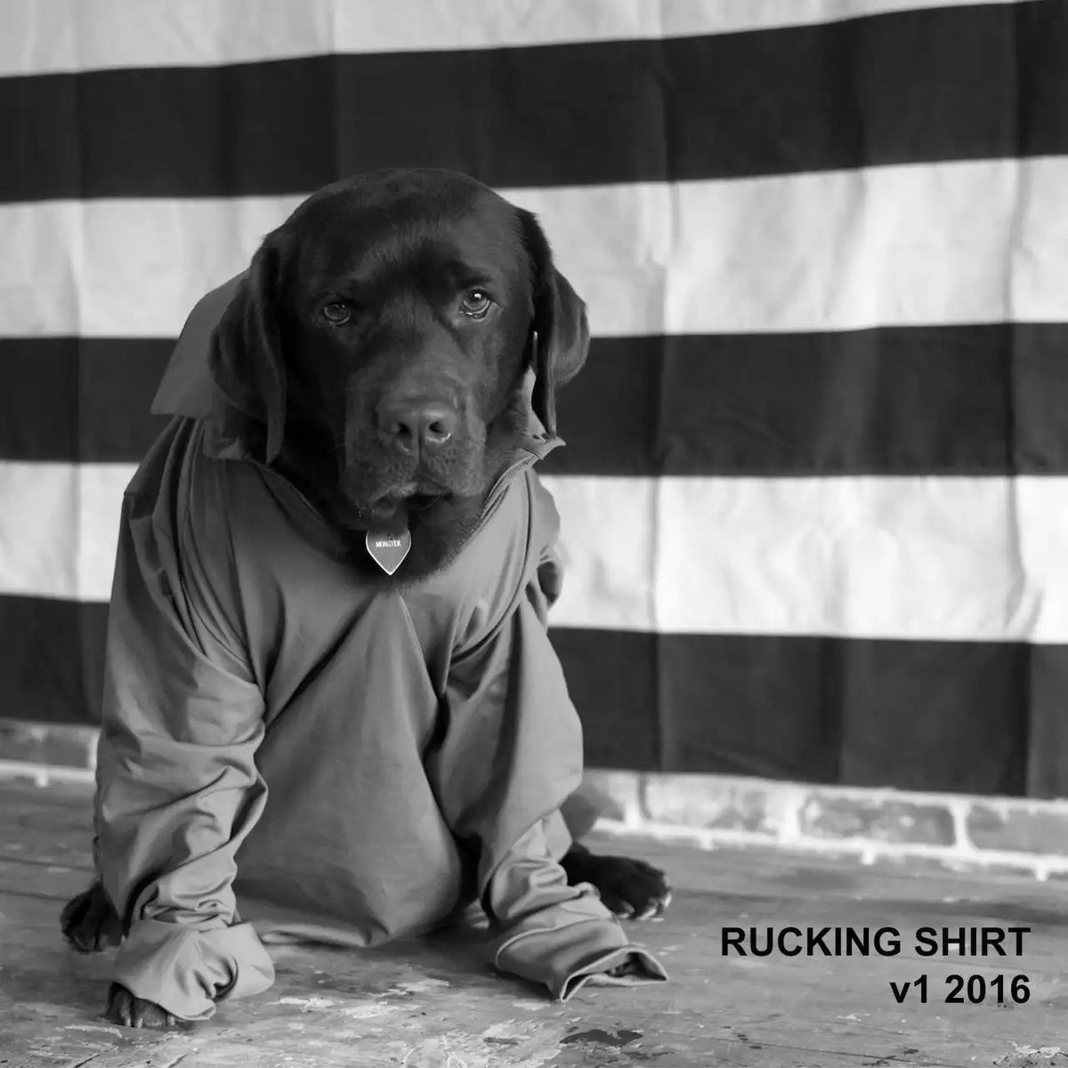 Men's Rucking Shirt - L/S